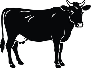black and white cow