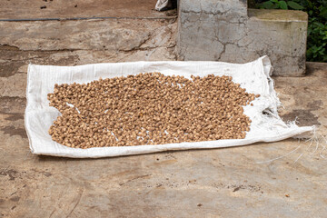 Cardamom (Elettaria cardamomum) is a drink ingredient or traditional medicine.
