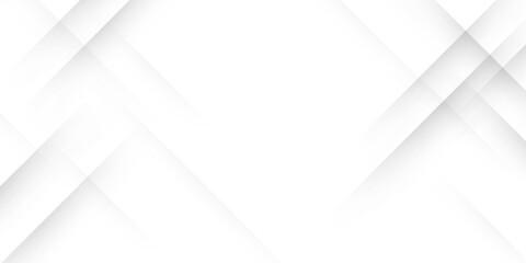 gray and white abstract background modern vector illustration