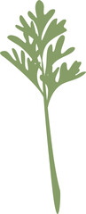 wormwood small wavy leaf stalk