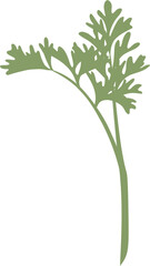 wormwood small wavy leaf stalk