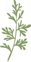 wormwood small wavy leaf stalk