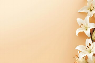 Elegant white lilies on peach background