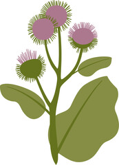 burdock plant