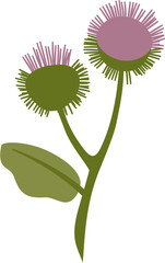 burdock plant stem