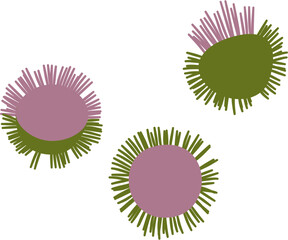 burdock flower