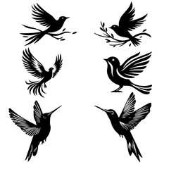 Bird Vector-3