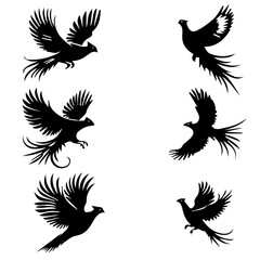 Bird Vector-5