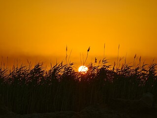 Golden sunset reflects in a calm canal, rural landscape
