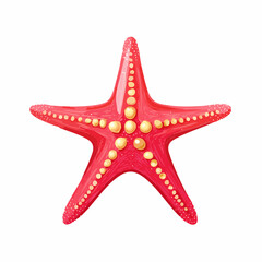 Red Starfish Illustration: A vibrant illustration of a red starfish, showcasing its intricate details and symmetrical design. The starfish is presented against a white background.