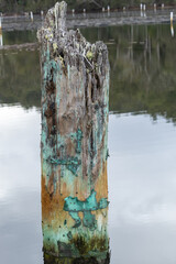Old Pier Posts in Sea Water.	