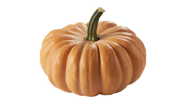Orange pumpkin with a green stem on a white background