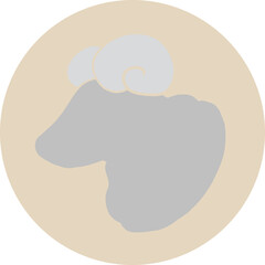 양자리 5