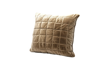 Throw Pillow, home decoration, Beautiful, modern, or ancient, co