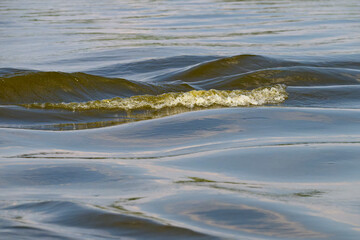 Die Elbe bei Tangermünde	