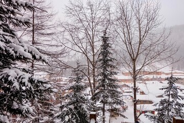 China snow town, mushroom houses covered by pure white snow in the mountain of a Chinese countryside 