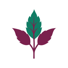 Elegant leaf design with purple and green colors isolated on white background
