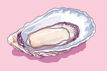 Freshly opened oyster on a pastel background