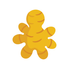 Simple isolated ginger root graphic illustration culinary ingredient element