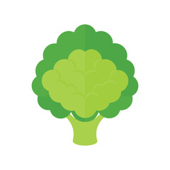 Isolated green broccoli vegetable graphic illustration for healthy eating and nutrition