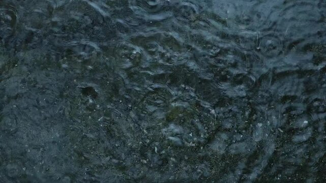Top view of drizzling torrential rain hitting a puddle on concrete surface storm. Raindrops splashing on reflecting water surface. Monsoon season. Downpour. Rainfall