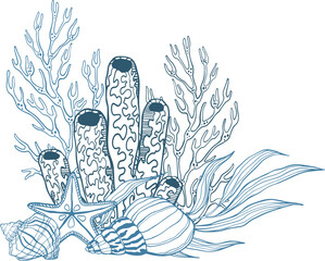 Clip art of vector sea shells and coral reef and seaweeds for design book, cafe menu. Blue colored.