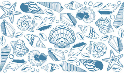 Rectangle clip art of vector sea shells and corals isolated.