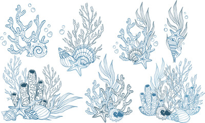 Collection of vector clip art with coral reef and seaweed and sea shells for design.