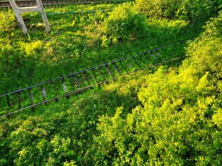 Abandoned Railway Tracks Overgrown with Grass
