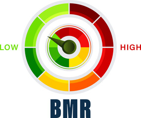 Basal Metabolic Rate BMR Evaluation Tool Vector Illustration with Caloric Burn Rate Spectrum from Low to High vector on transparent background