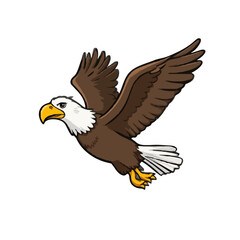 Obraz premium bald eagle in flight isolated