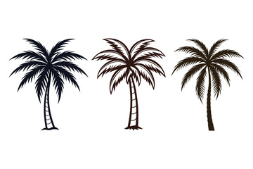Tropical Palm Tree Vector Silhouette for Summer and Beach Design