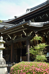Fototapeta premium 三室戸寺 本堂とサツキ(京都府宇治市)