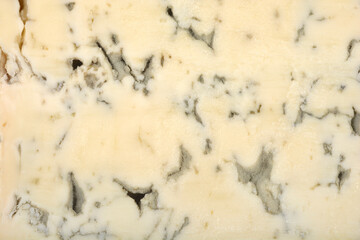 A detailed close-up shot focuses on the intricate texture and distinctive blue-green marbling of Gorgonzola cheese