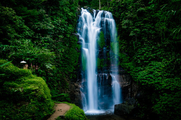 Stunning waterfall in the tropical rainforest jungle Bali