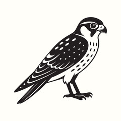 Bird Hornbill Cartoon Vector Illustration