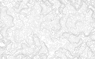 Topographic Topo Map Background. Topographic contour map on white background. Vector grid map.
Vector Illustration