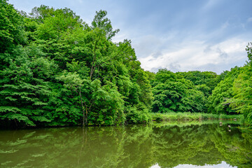 池がある緑のある風景