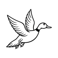 flying  billed teal sketch vector