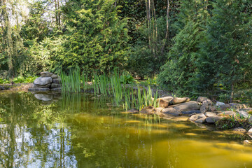 Serene pond surrounded by lush greenery and rocks, with reeds growing along water's edge, reflecting tranquil natural setting.