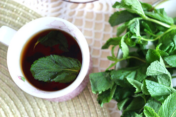 Black tea with mint and mint on the kitchen table