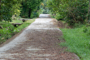 Photograph, an illustration of remote (village) street which's made from concrete, small street that's existed on my village, Ngadirejo Tugumulyo, South Sumatra. There're green and dry brown leaves be
