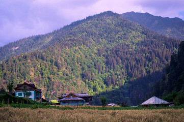 Village in the mountains.   Pundarik  Upper Neahi village. Sainj Valley, Eco Zone, Great Himalayan National Park, Himachal, India.