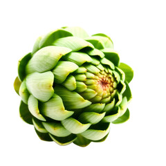 Obraz premium artichokes with transparent background PNG and JPEG image