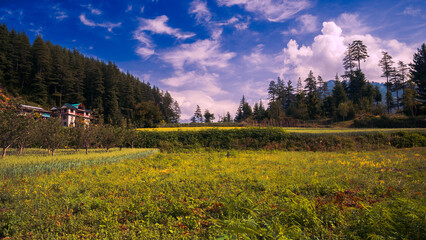 Summer landscape in the mountains.   Pundarik  Upper Neahi village. Sainj Valley, Eco Zone, Great Himalayan National Park, Himachal, India.
