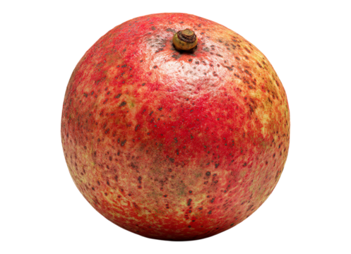 Ultra Realistic Overripe guava