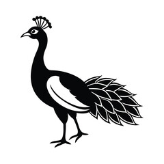  peafowl silhouette vector on white background