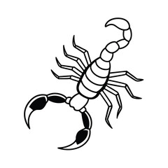 scorpion vector illustration on white background