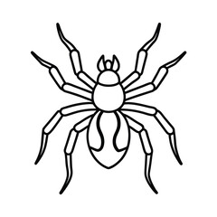 spider line art coloring page vector illustration