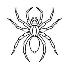 Obraz premium spider line art coloring page vector illustration